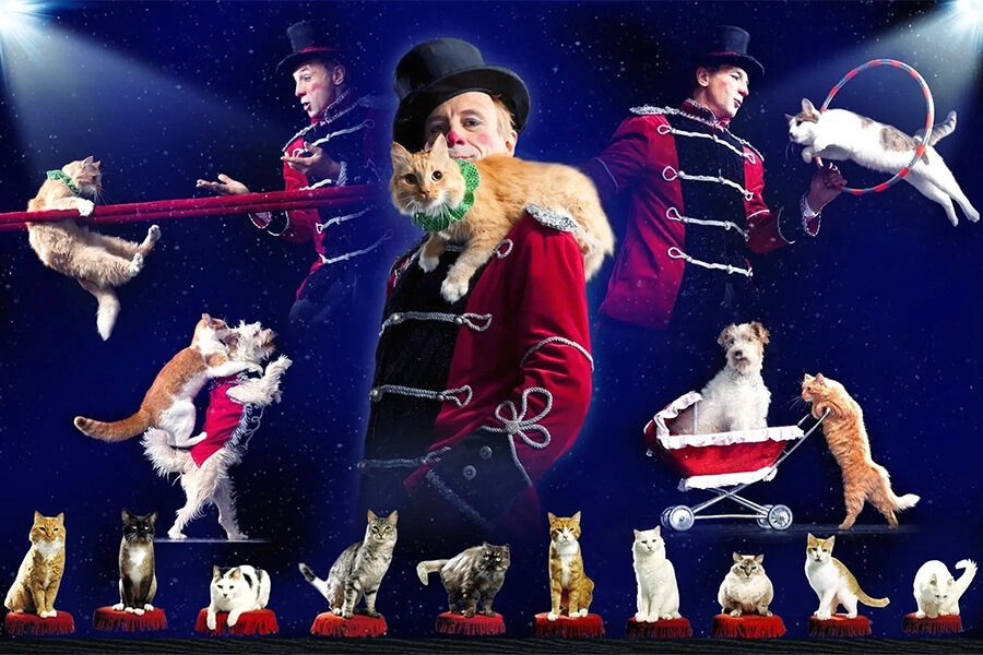 Popovich Comedy Pet Theater Tickets